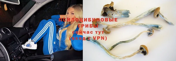 гидра Касимов