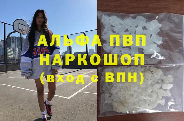 гидра Касимов