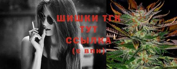 гидра Касимов
