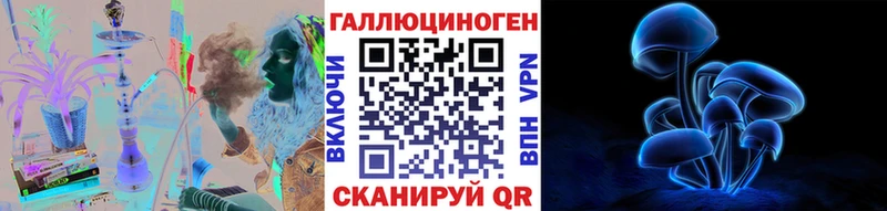 Псилоцибиновые грибы Cubensis  Купить закладки  Бологое 